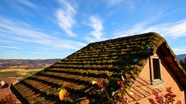 Les meilleures astuces pour démousser un toit en Alsace